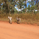 Illustration for article titled AWOL Around Australia... Part 40. East Arnhem Land. Part 1